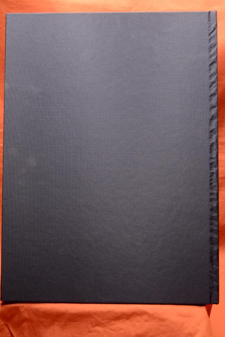 VISIONAIRE 40：DAVID SIMS ROSES　★★値下げしました