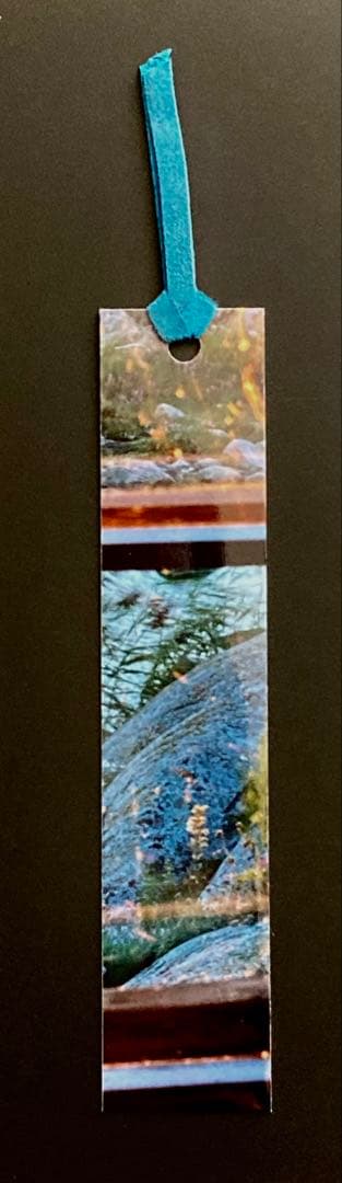 アート・デザイン・音楽 A song for windows Takashi homma