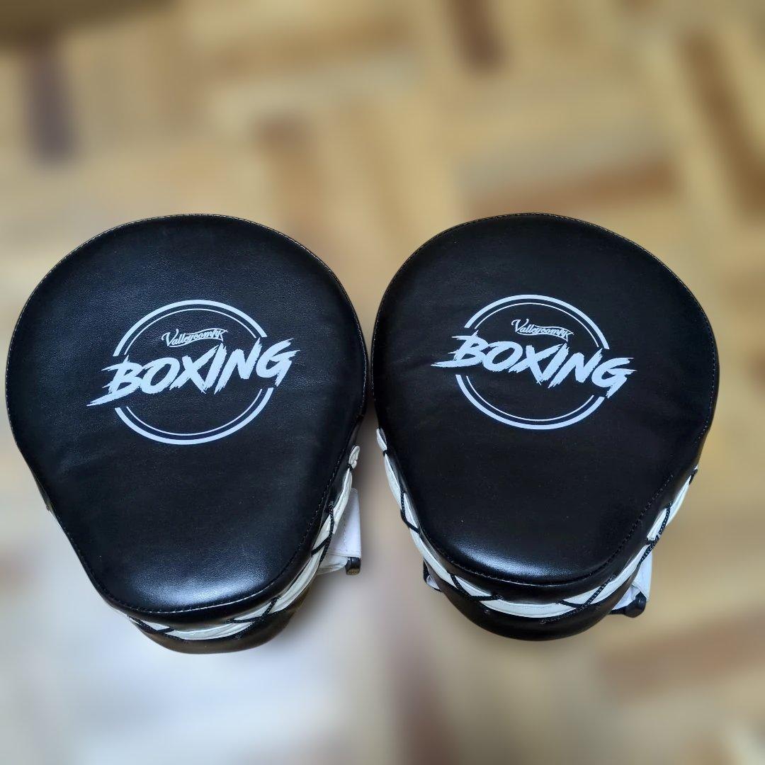 RDX ミット ボディーメーカー グローブ パンチングミット まとめ売り