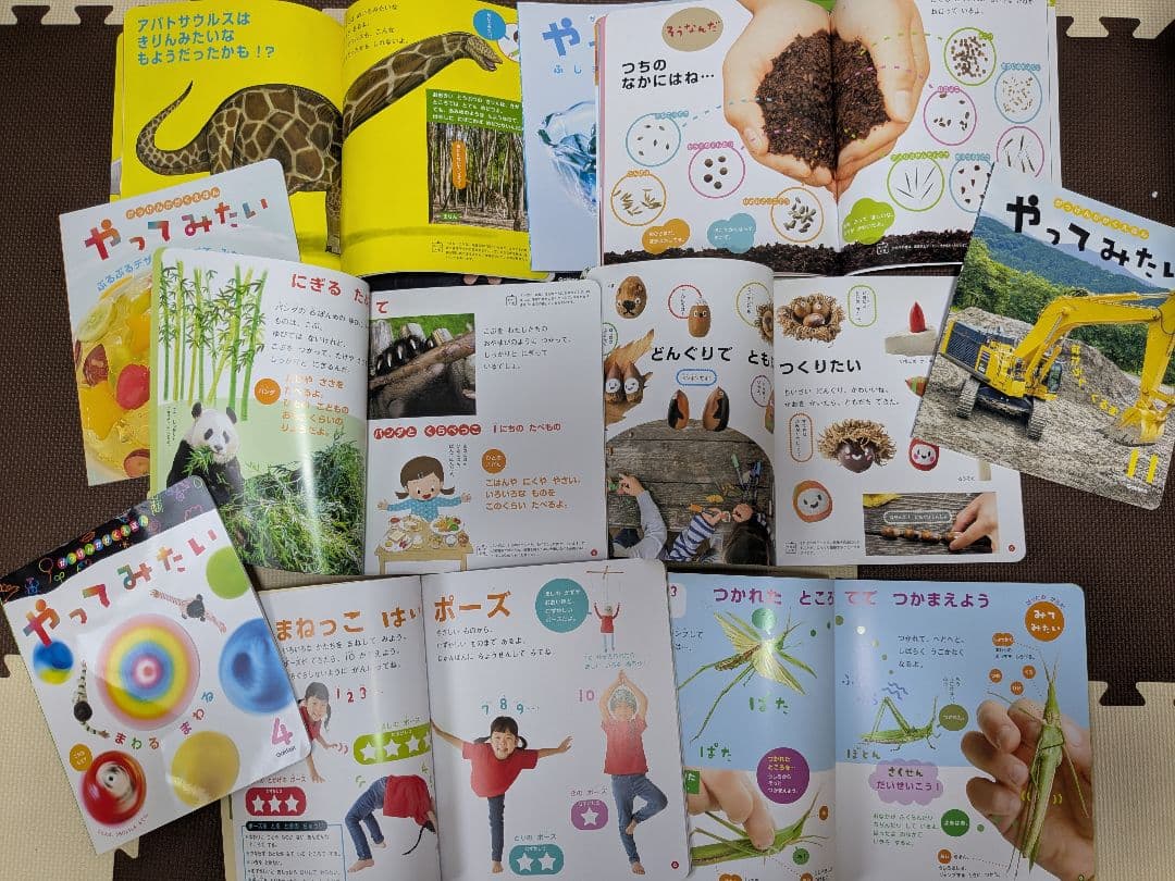 絵本セット 幼児向け