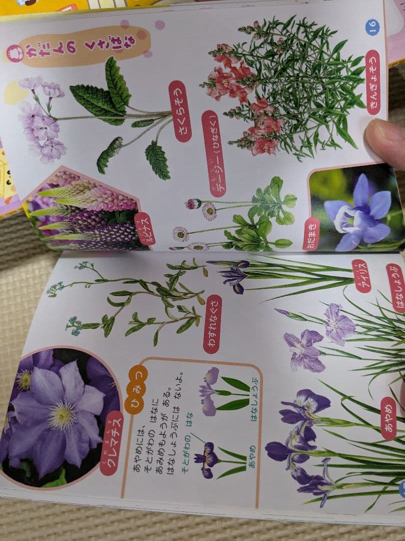 絵本セット 幼児向け