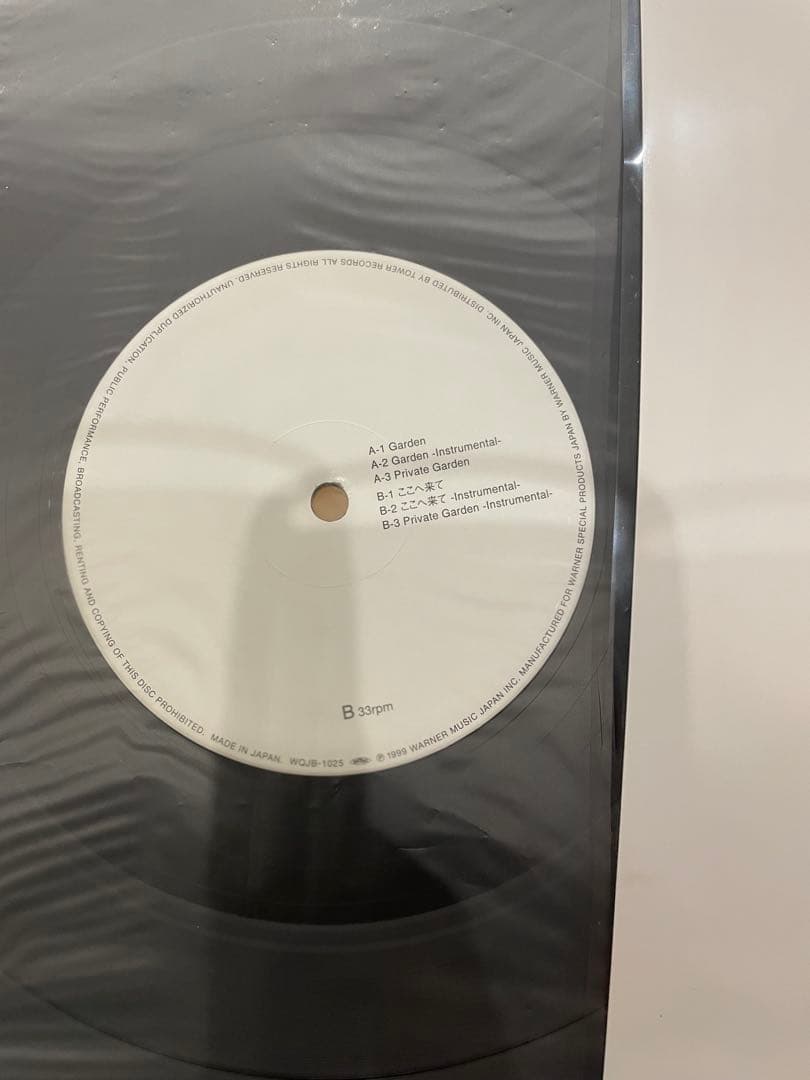 12インチ　Sugar Soul Feat. Kenji Garden ガーデン
