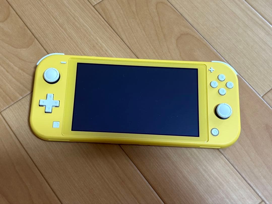 Nintendo Switch Lite 本体 充電器 ソフト ケース付き 美品