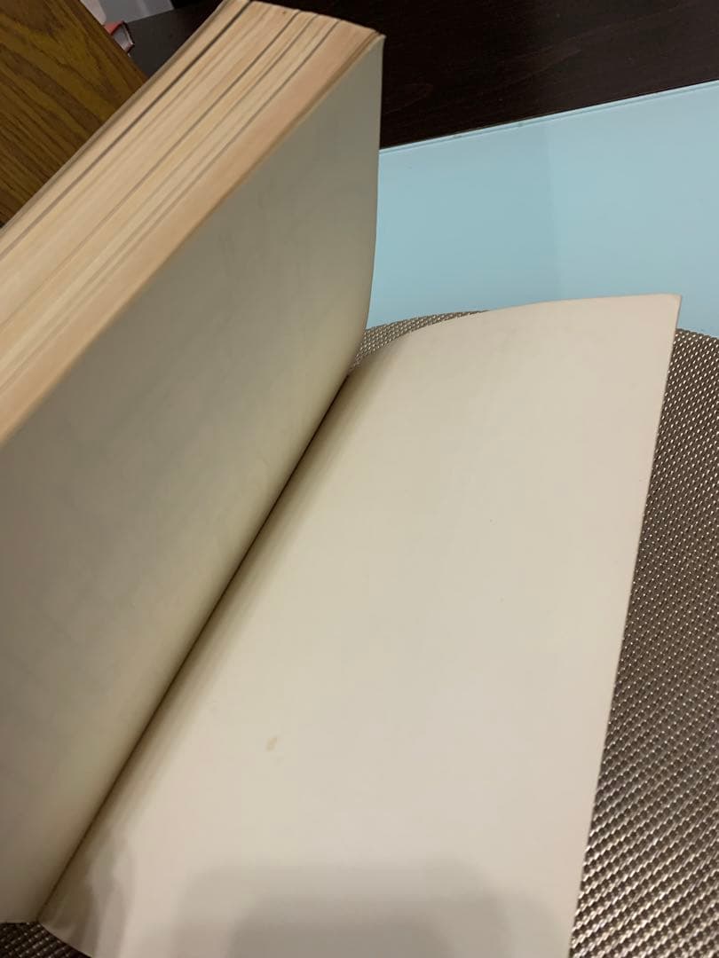 希少　The Tombs of St. Peter & St. Paul