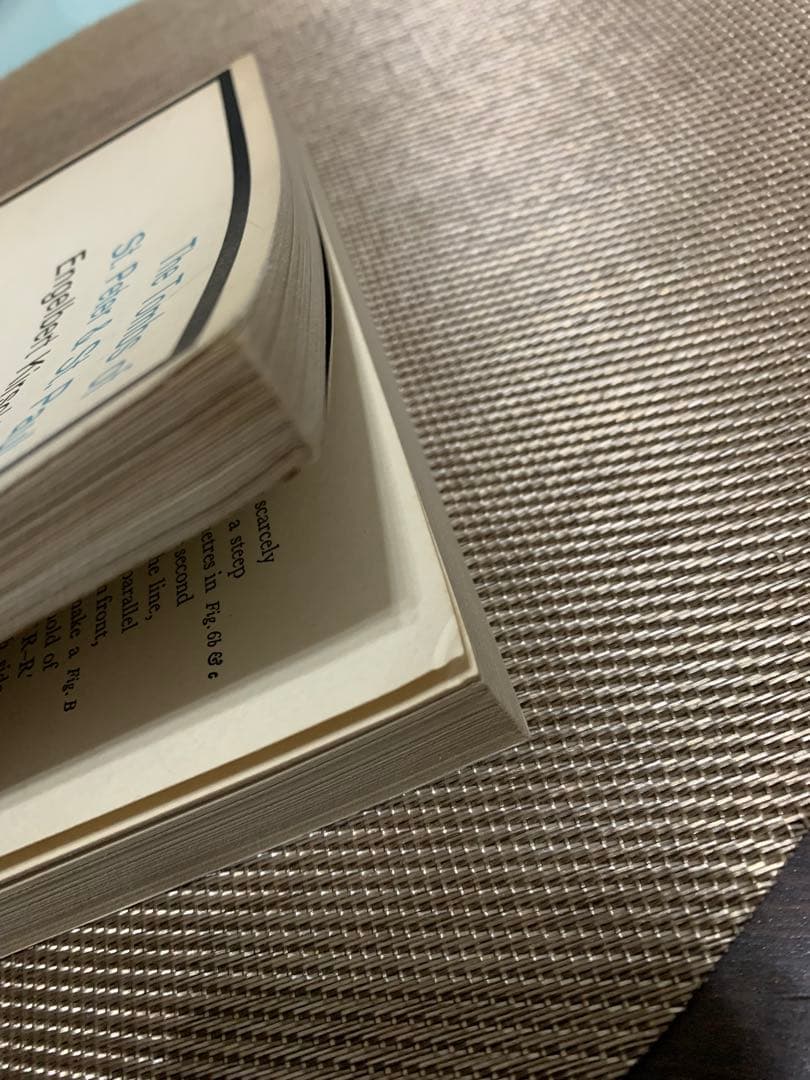 希少　The Tombs of St. Peter & St. Paul