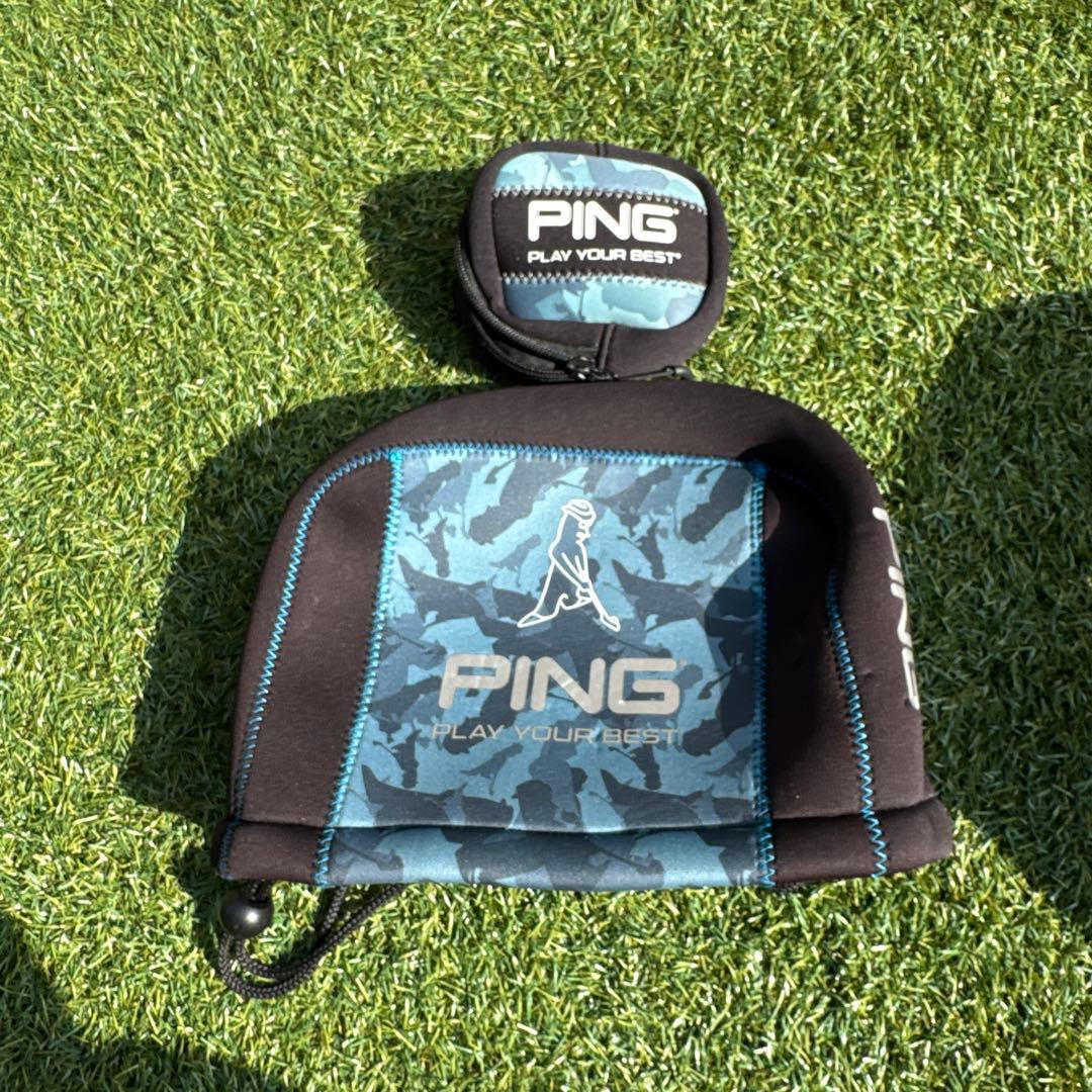 イ*ン様 DESCENTE ロゴプリント キャディバッグ　PINGおまけつき