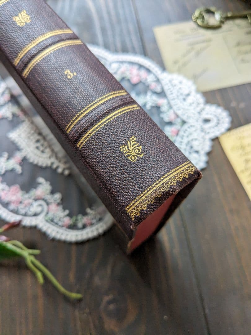 1920年　重厚感あふれる♪アンティーク本４冊セット　ヨーロッパ調インテリア古書