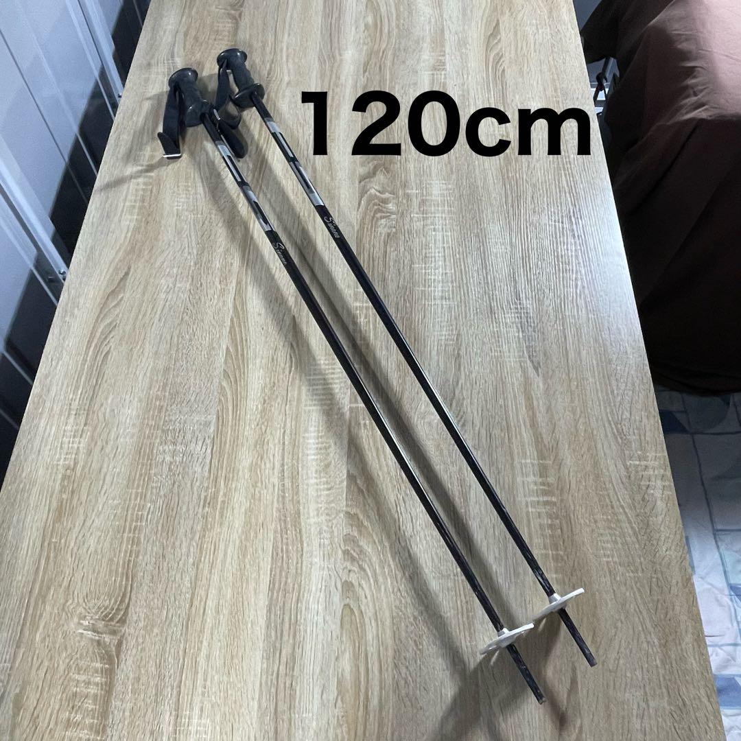 SALOMON160cm 26/26.5cm 120cm ケース付き