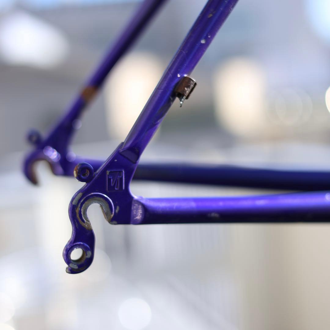 TREK SINGLETACK 950 old mtb フレーム ブルーラグ