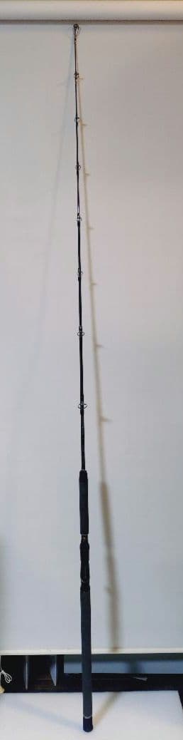 テイルウォーク　ジギングロッド　ゴッサムC61M　Class180