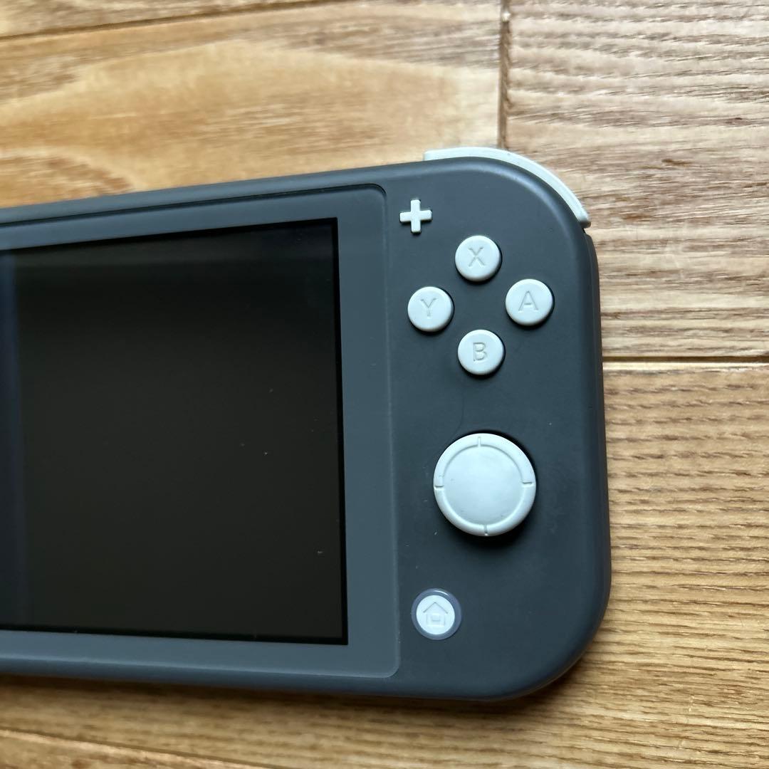 Nintendo Switch Lite グレー カバー、ケース付き