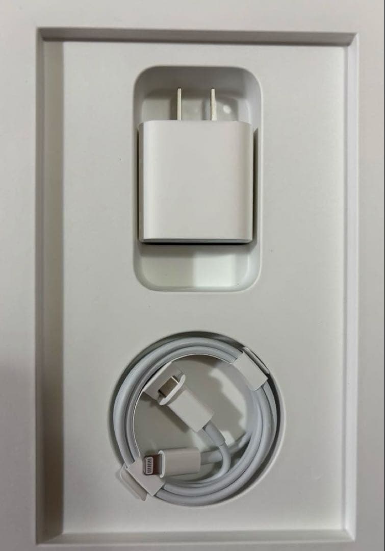 【ホームボタンあり】iPad 第8世代 Wi-Fi 128GB