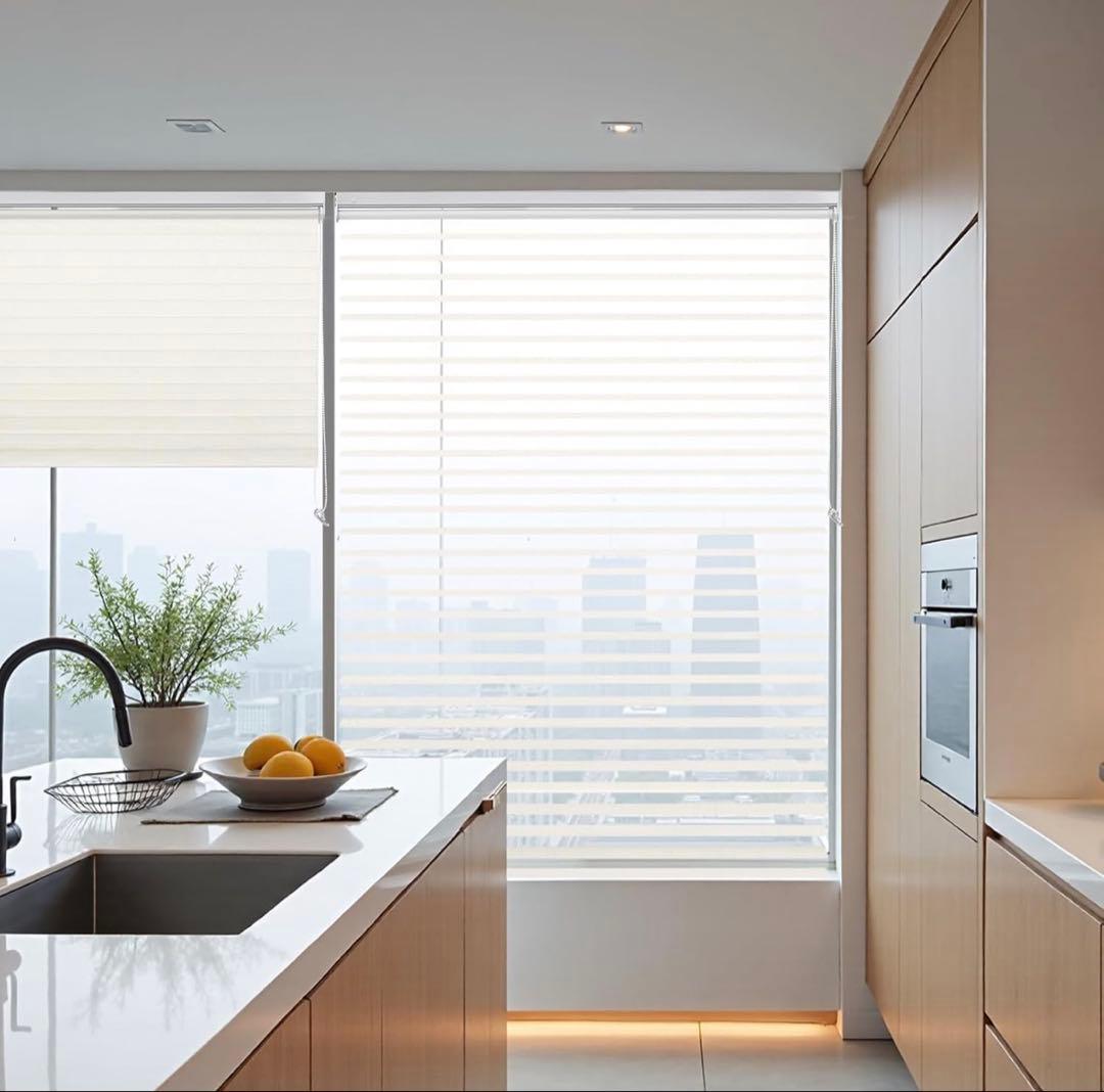 【専用】Adliy 調光ロールスクリーン2本セット