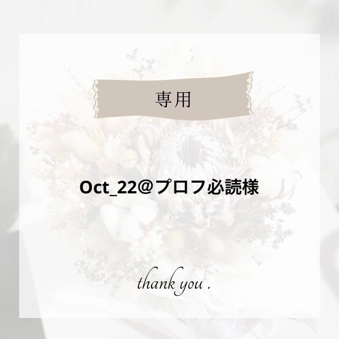 Oct_22＠プロフ必読 様 オーダー ネイルチップ