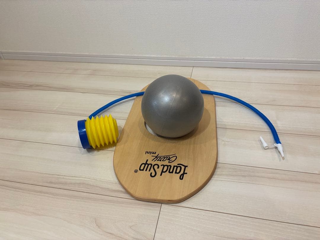 LandSup Crazy mini バランスボード