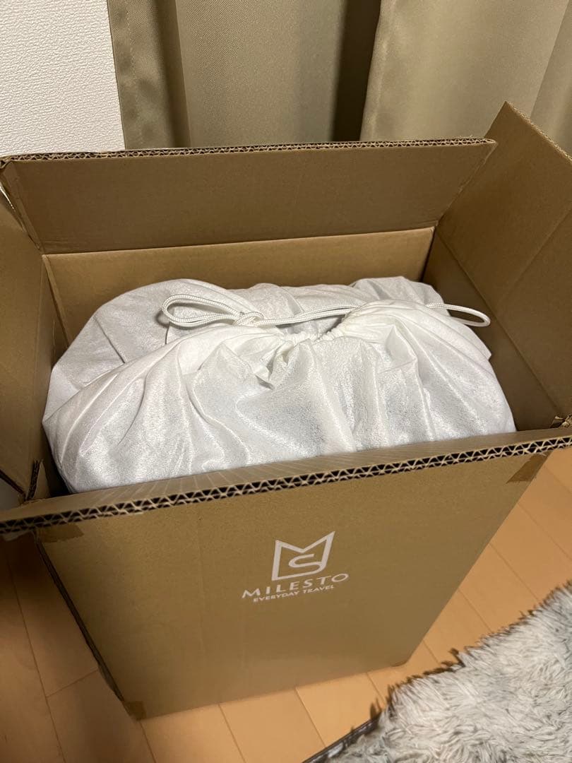 新品タグ✨現行　スーツケース 機内持ち込み フロントオープン MILESTO