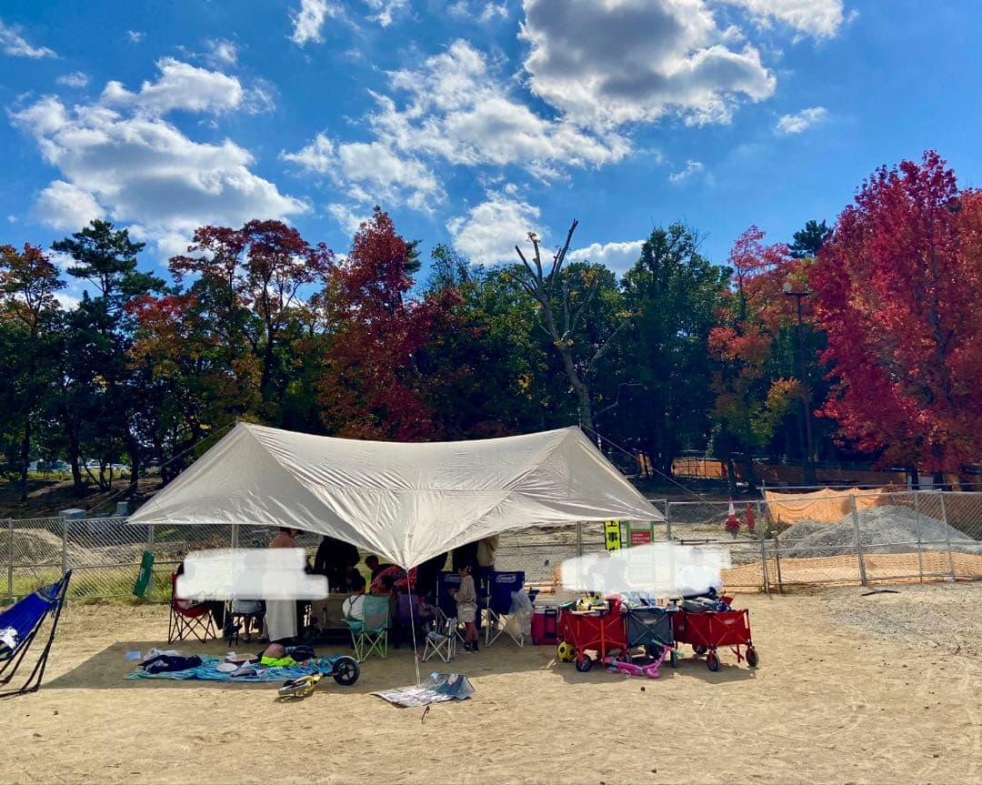 HDタープ ヘキサエヴォ Pro.アイボリー TP-260IV【ポール付き】