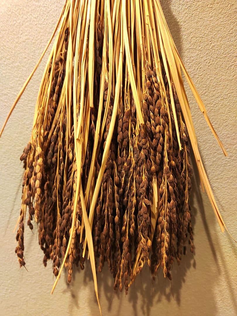 わら細工　古代米　しめ縄飾り