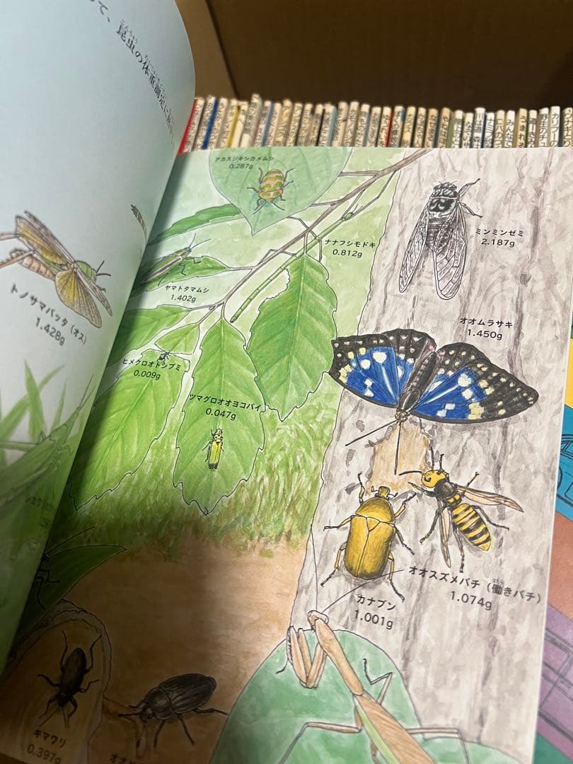 たくさんのふしぎ 40冊セットC まとめ売り