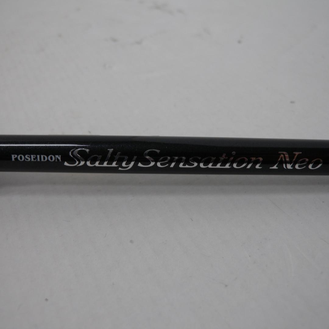 63▢エバーグリーン ソルティーセンセーションネオ NH0506-1