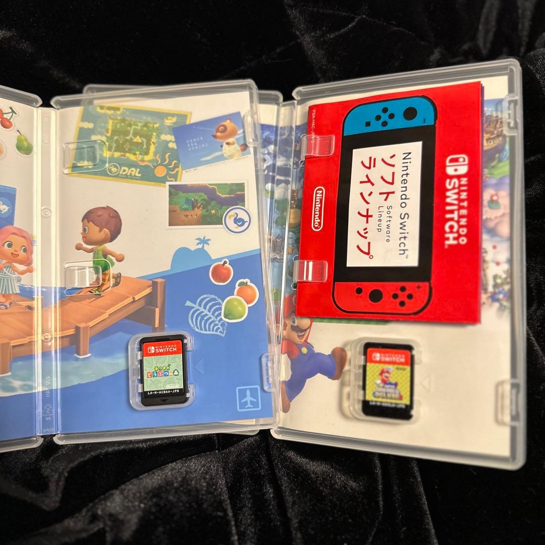 あつまれ どうぶつの森 &マリオ