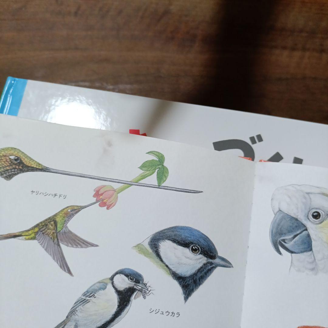 いきものづくし 全12巻セット