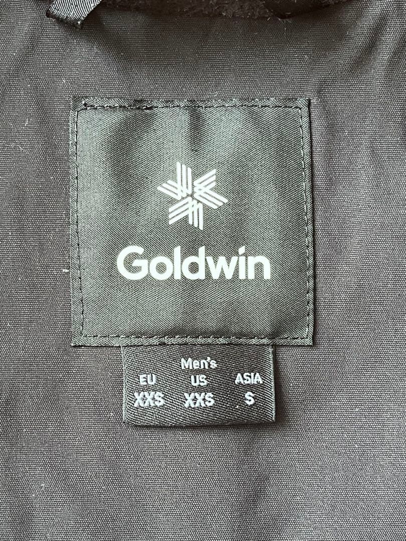 激レア　Goldwin GB ALPINE SKI TEAM レプリカモデル