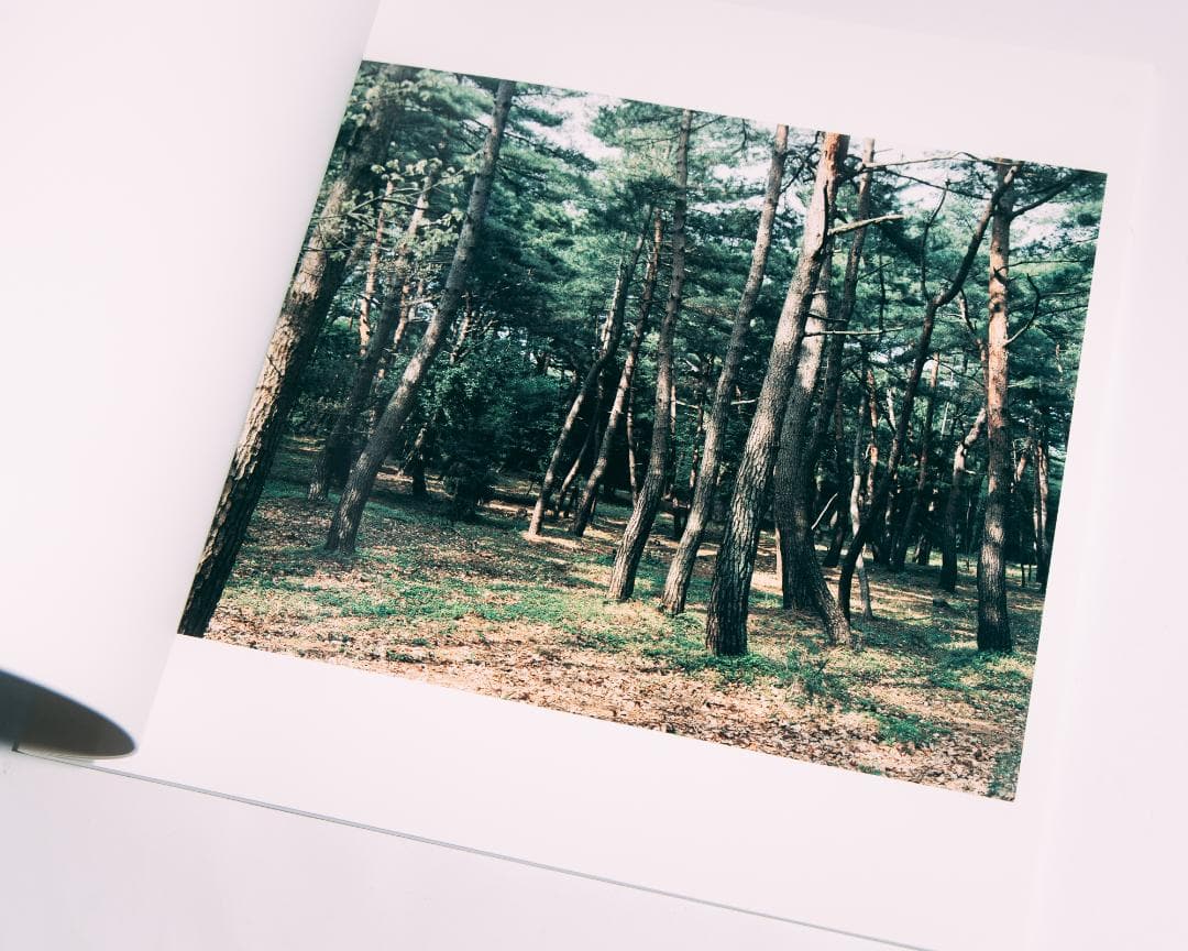 光と重力 - 今井智己 写真集