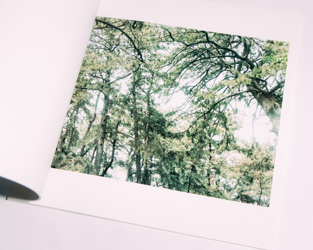 光と重力 - 今井智己 写真集