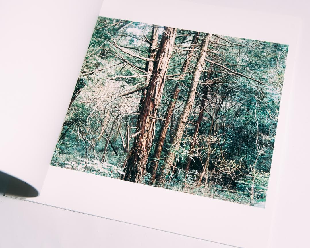 光と重力 - 今井智己 写真集