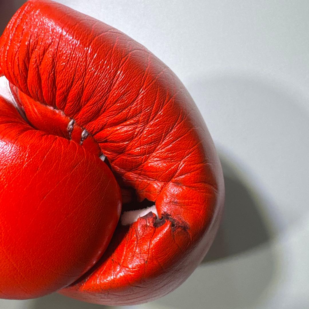 Winning ボクシンググローブ 8oz レッド