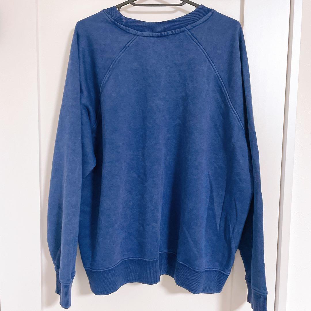 イギリス輸入　ストレンジャーシングス　ロビン　トレーナー