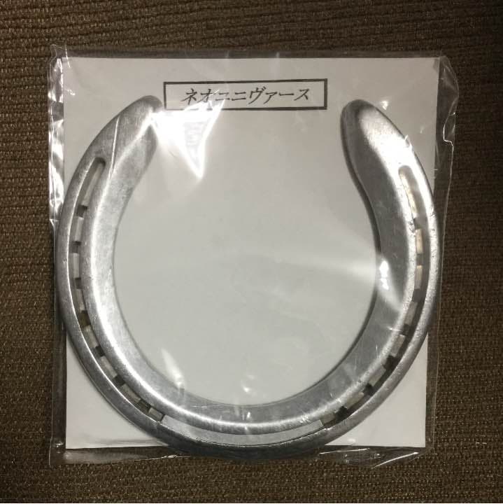 競馬 蹄鉄 ネオユニヴァース 実使用 G1馬 ダービー馬 JRA