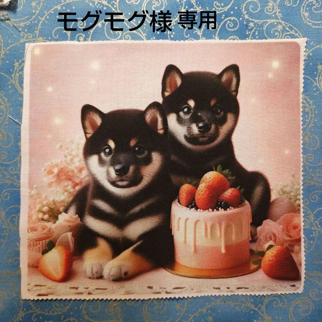 モグモグ　ハンカチ、パネル　No1 18枚　No2 50枚