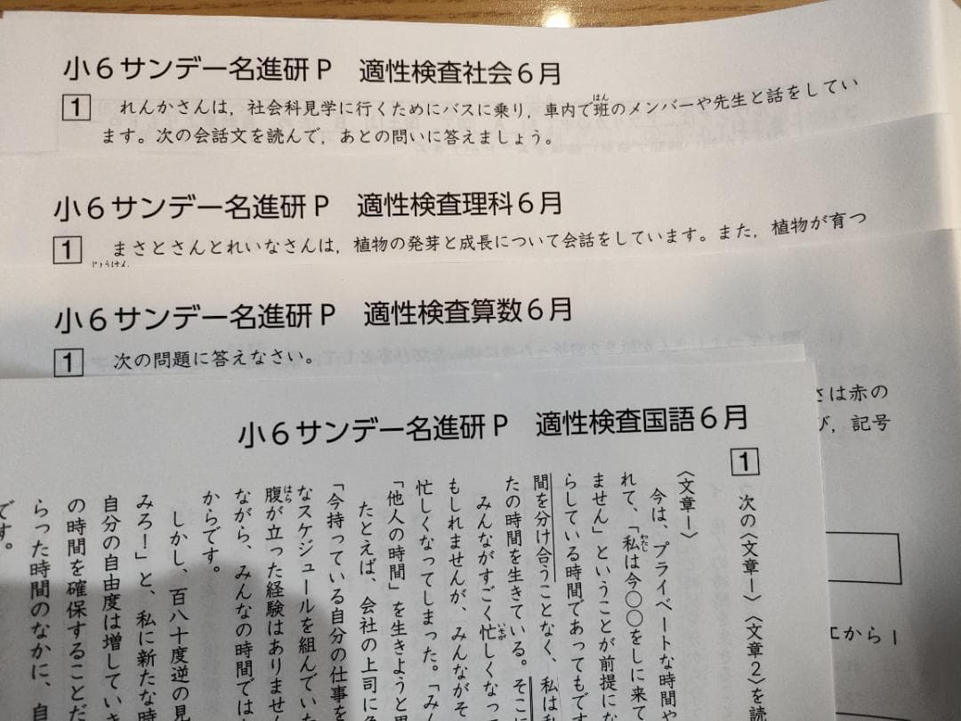 愛知県公立中高一貫校対策　サンデー名進研Pプリント（2024年4月～7月、小６）