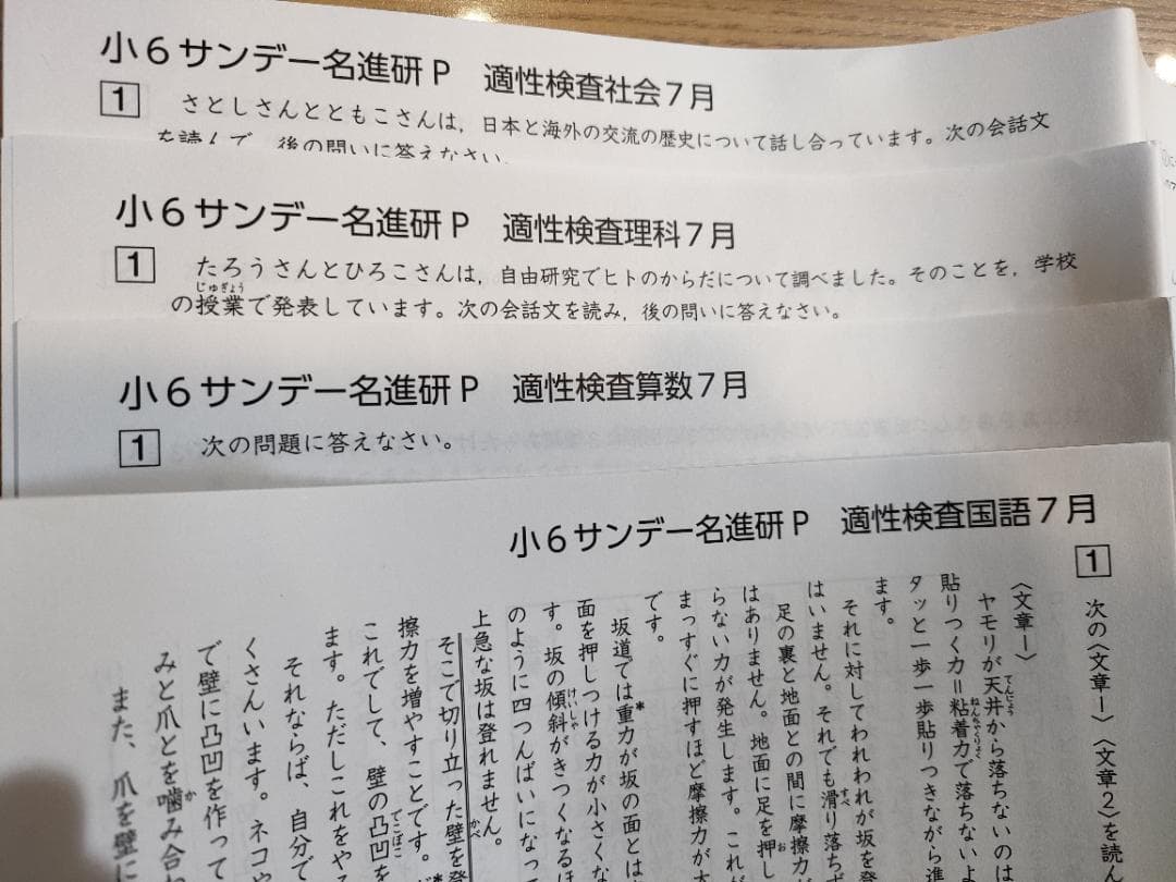 愛知県公立中高一貫校対策　サンデー名進研Pプリント（2024年4月～7月、小６）