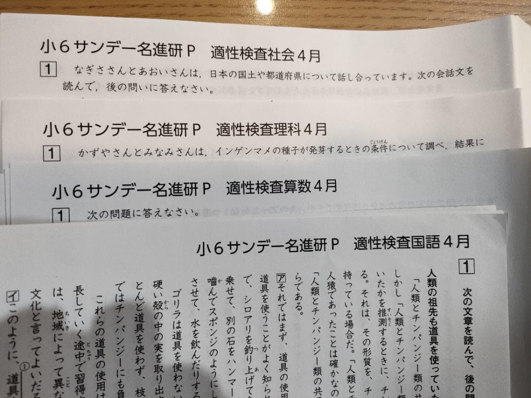 愛知県公立中高一貫校対策　サンデー名進研Pプリント（2024年4月～7月、小６）