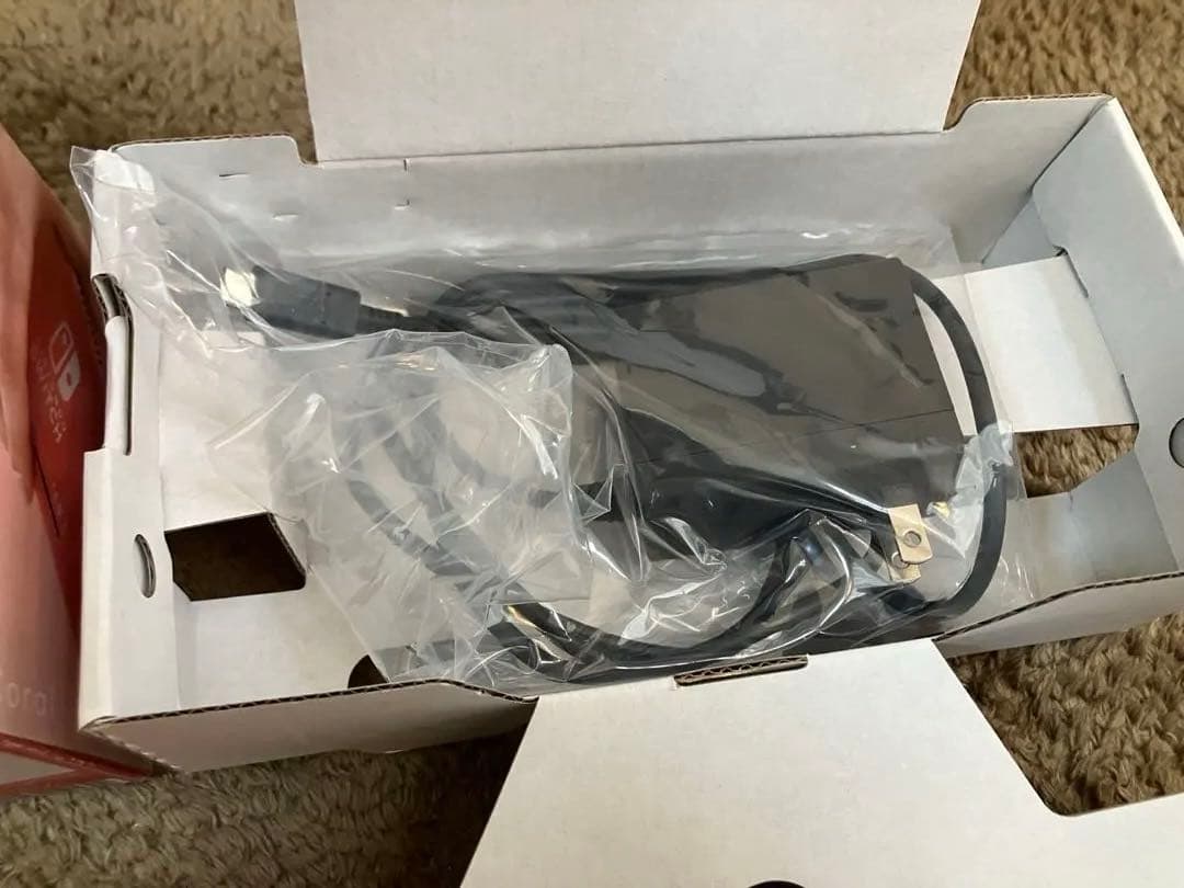 Nintendo Switch Lite ピンク 本体 コーラル 充電器付き