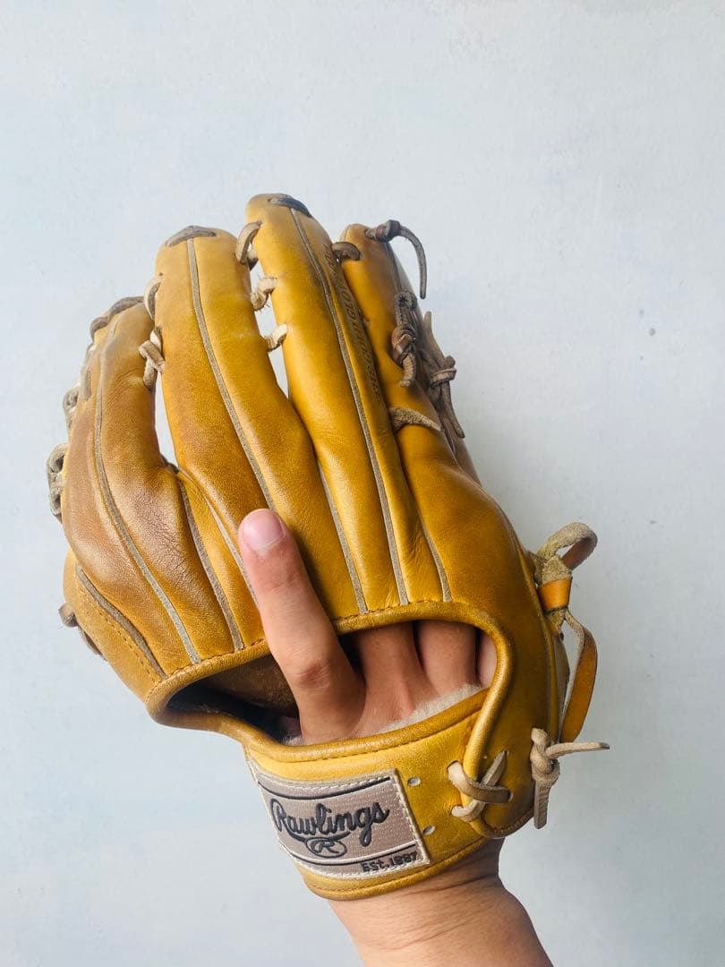 【最高級】プロプリファード　硬式用グローブ