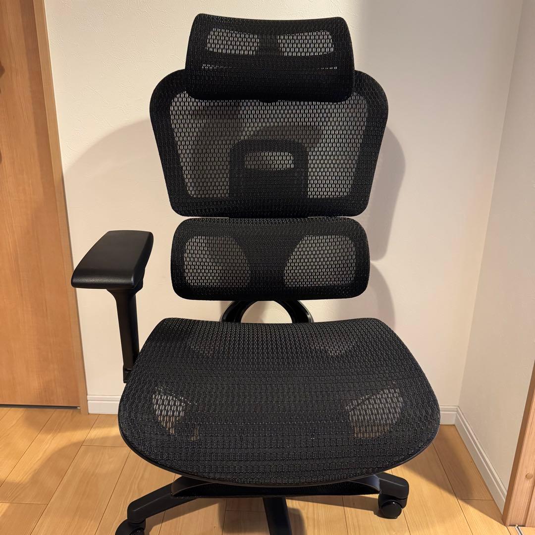 ErgoSiesta エルゴシエスタEastForceオフィスチェアデスクチェア