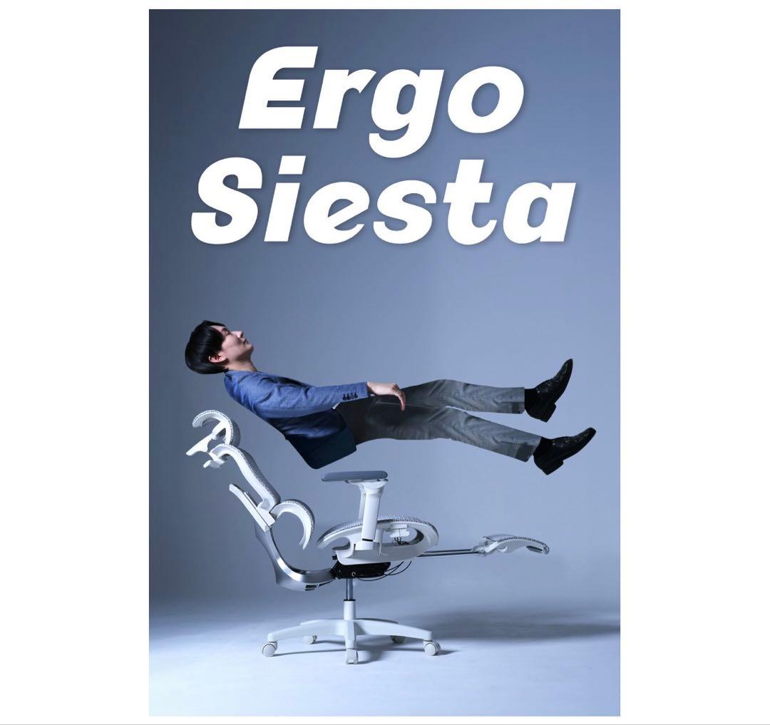 ErgoSiesta エルゴシエスタEastForceオフィスチェアデスクチェア