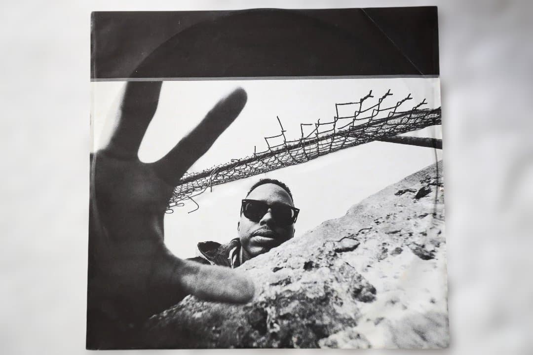 DOMINO アルバム レコード 12インチシングル