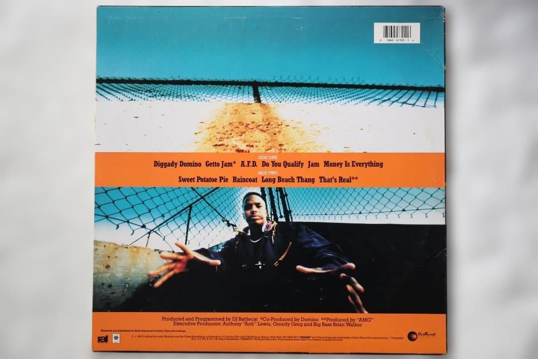 DOMINO アルバム レコード 12インチシングル