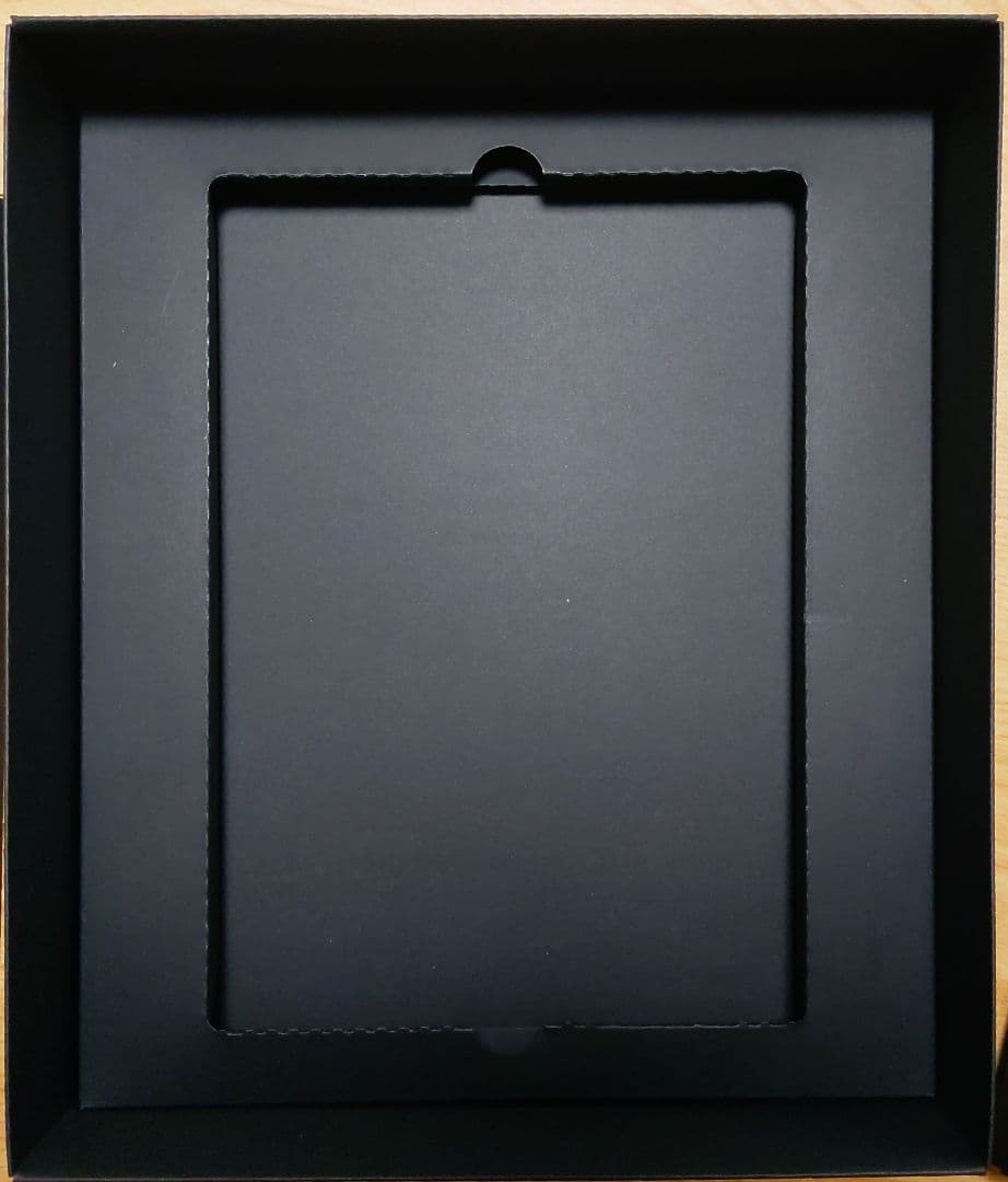 Stray Collector's Edition Switch パッケージ版