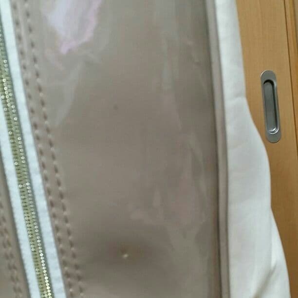 (確認用)ウエサコキャディーバック