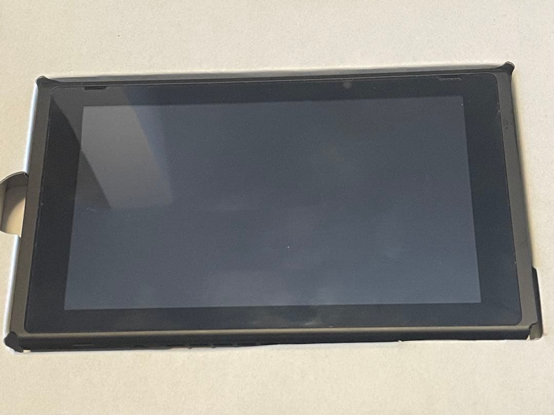 Nintendo Switch ニンテンドー グレー 本体 動作確認済み 任天堂