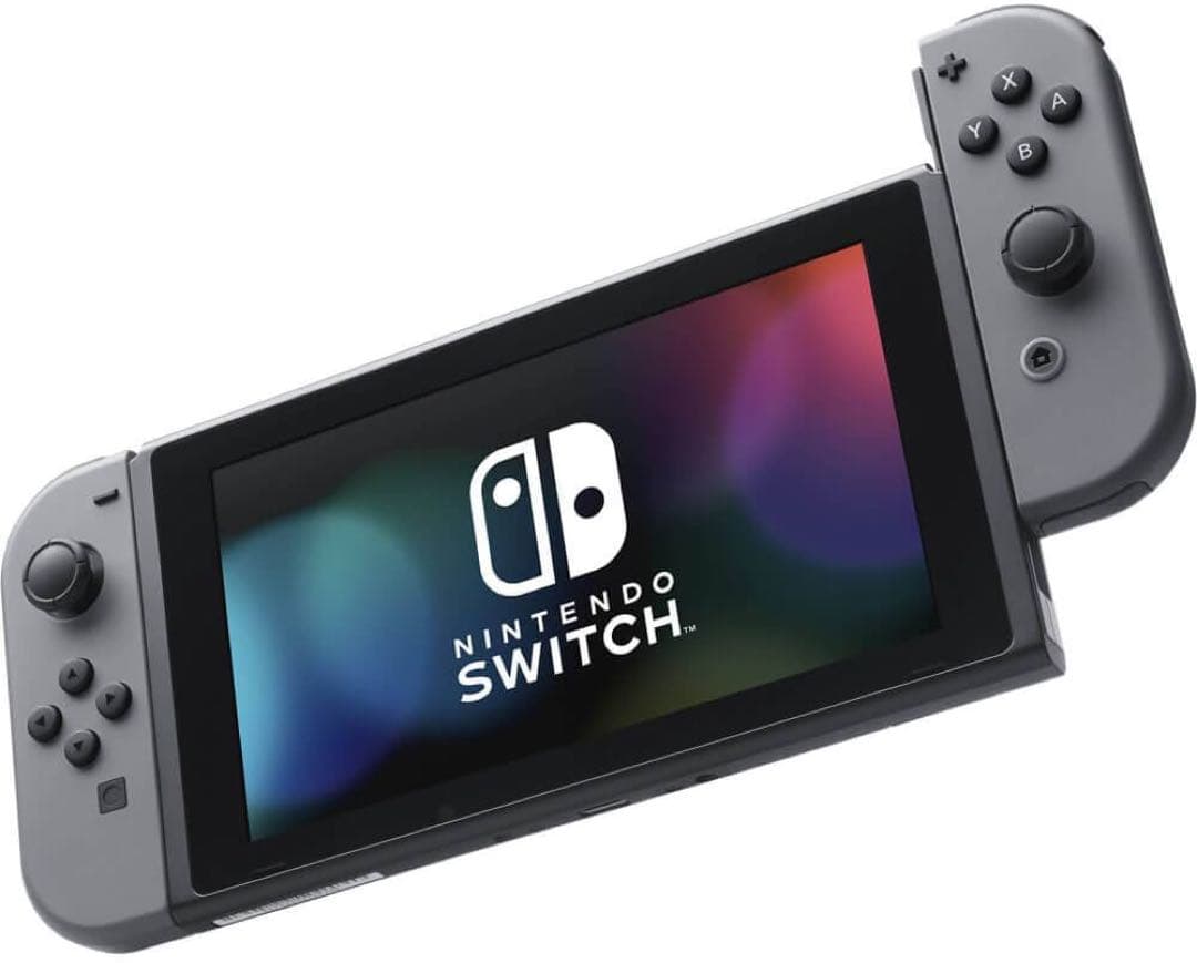 Nintendo Switch ニンテンドー グレー 本体 動作確認済み 任天堂