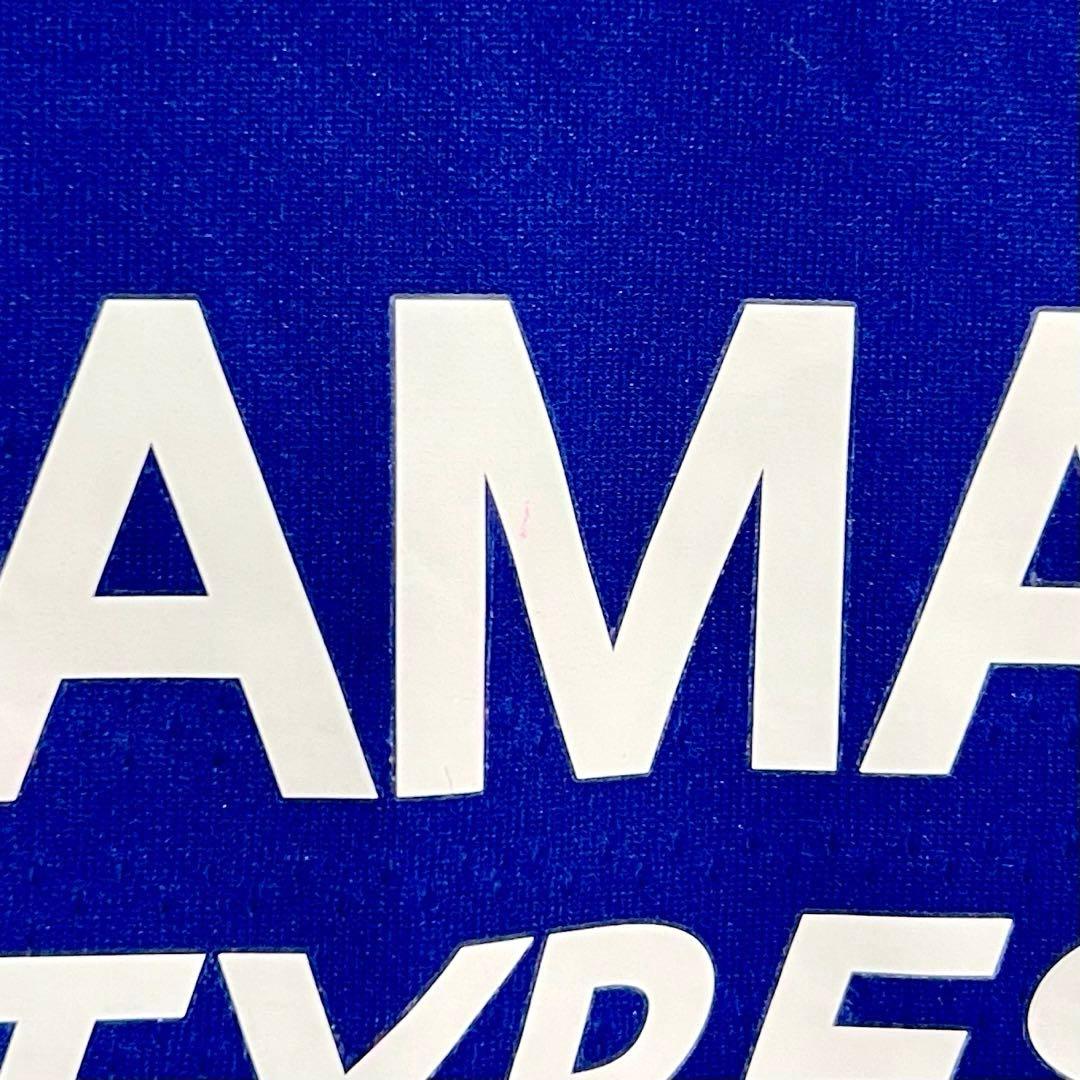 【美品！】18/19チェルシーFC ♯10 アザール【Mサイズ】オーセンティック