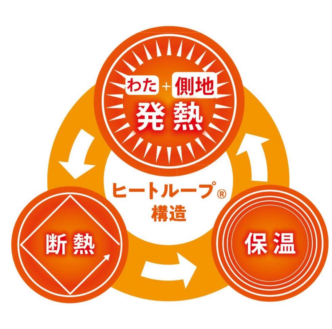 ディノス限定　ヒートループプレミアムプラス 中わた入り発熱毛布 セミダブル