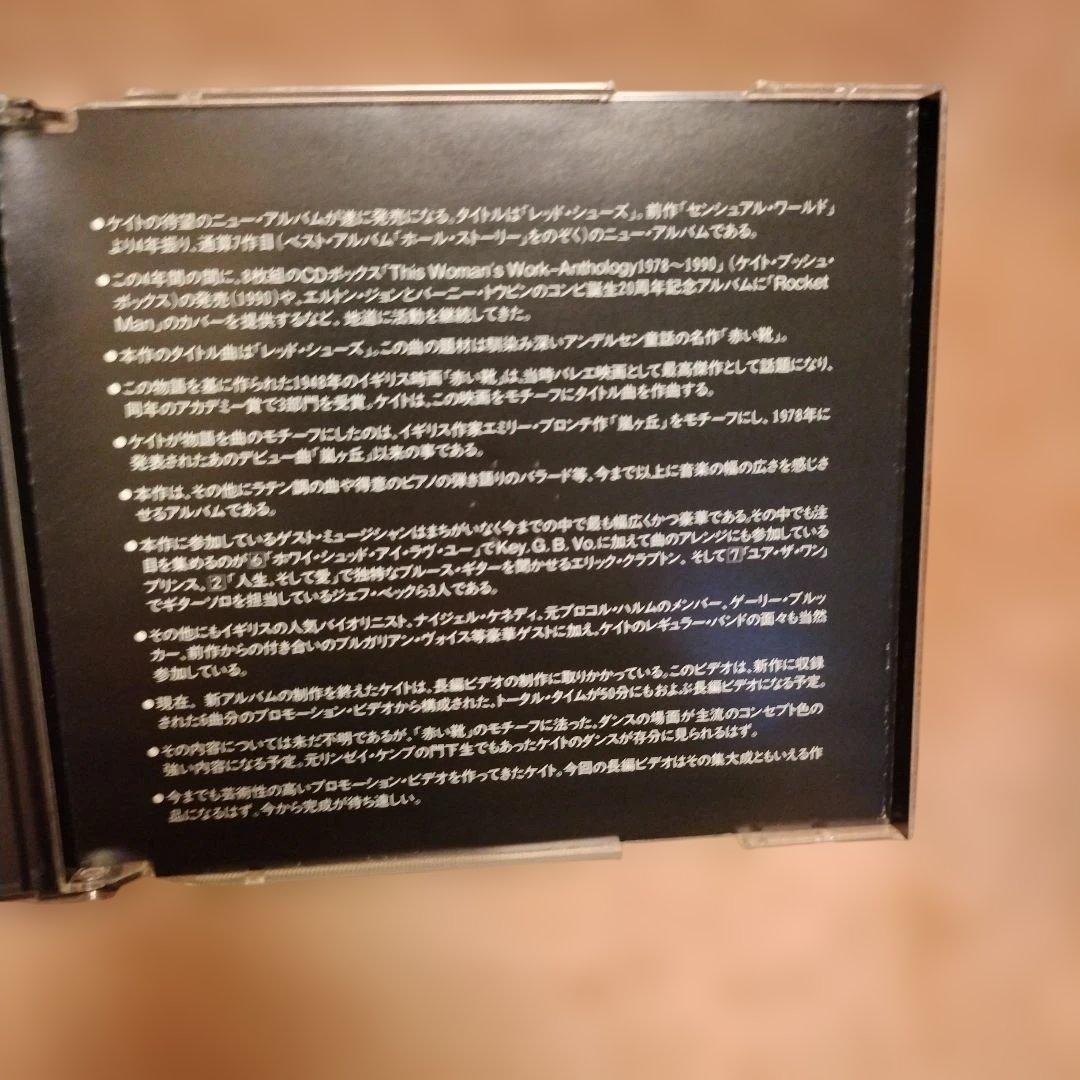 KATE BUSH ケイト・ブッシュ